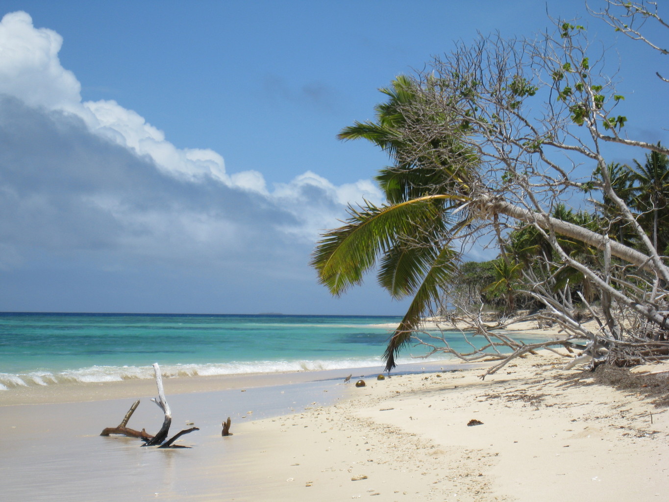 Amazing Tongan beach