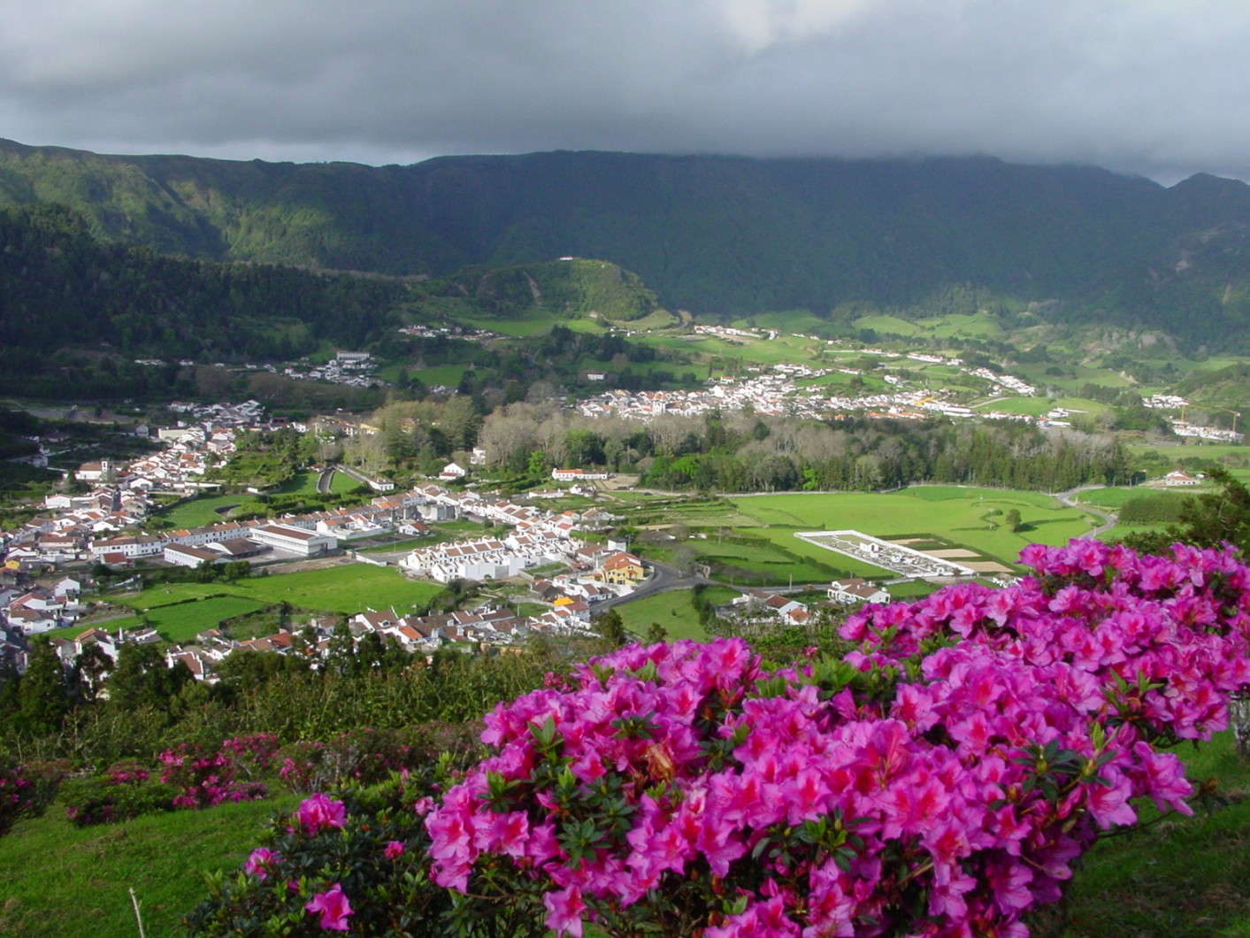 Volcanic Valley W Lake, Town, Flowers